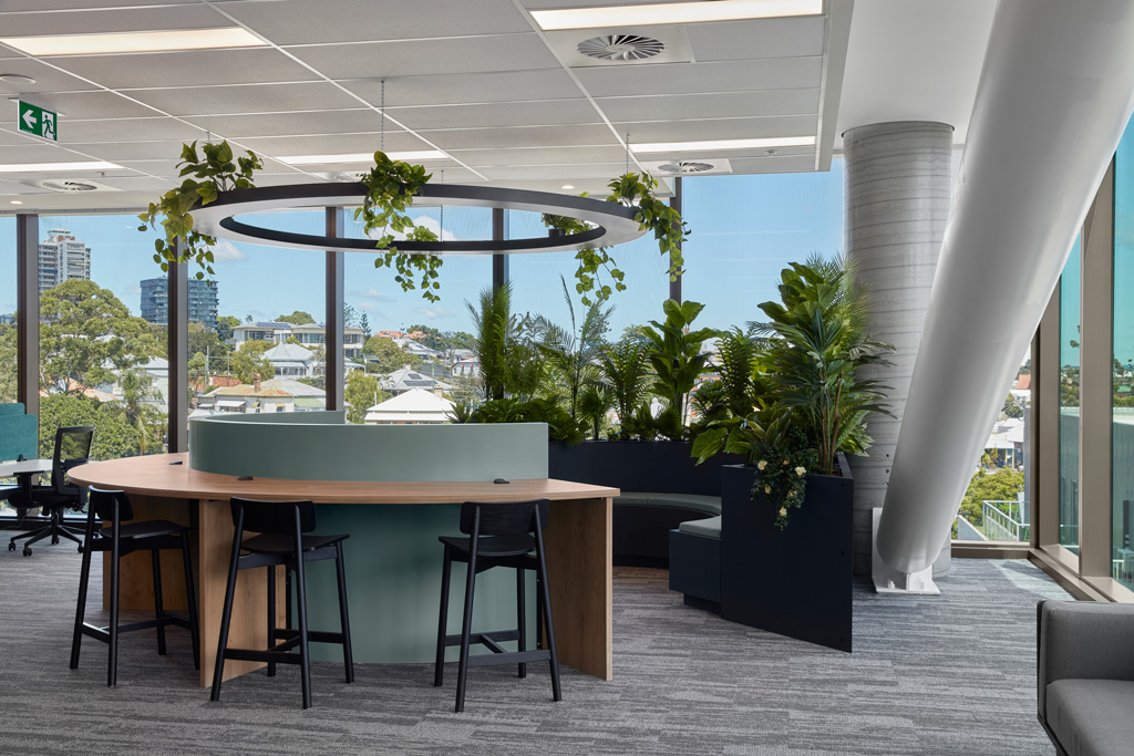 Office collaboration space with office plants